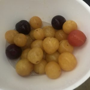 Marmellata di Prugne - ricetta Bimby 2 Marmellata di Prugne - ricetta Bimby - Caffè Cannella