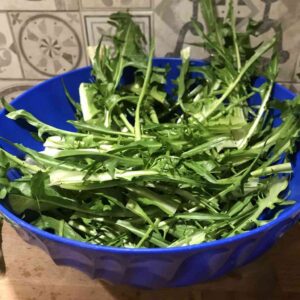 Puntarelle in padella4