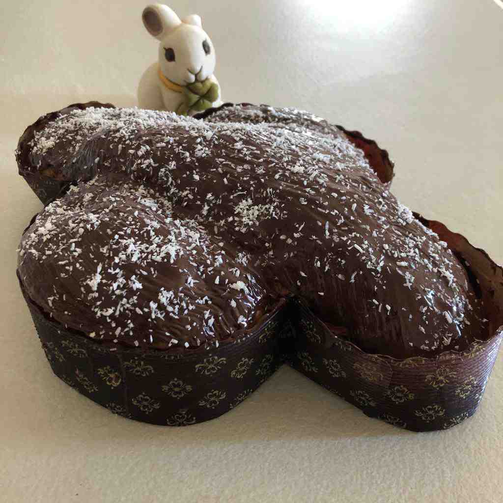 Colomba lievito madre – Cioccolato e frutti rossi